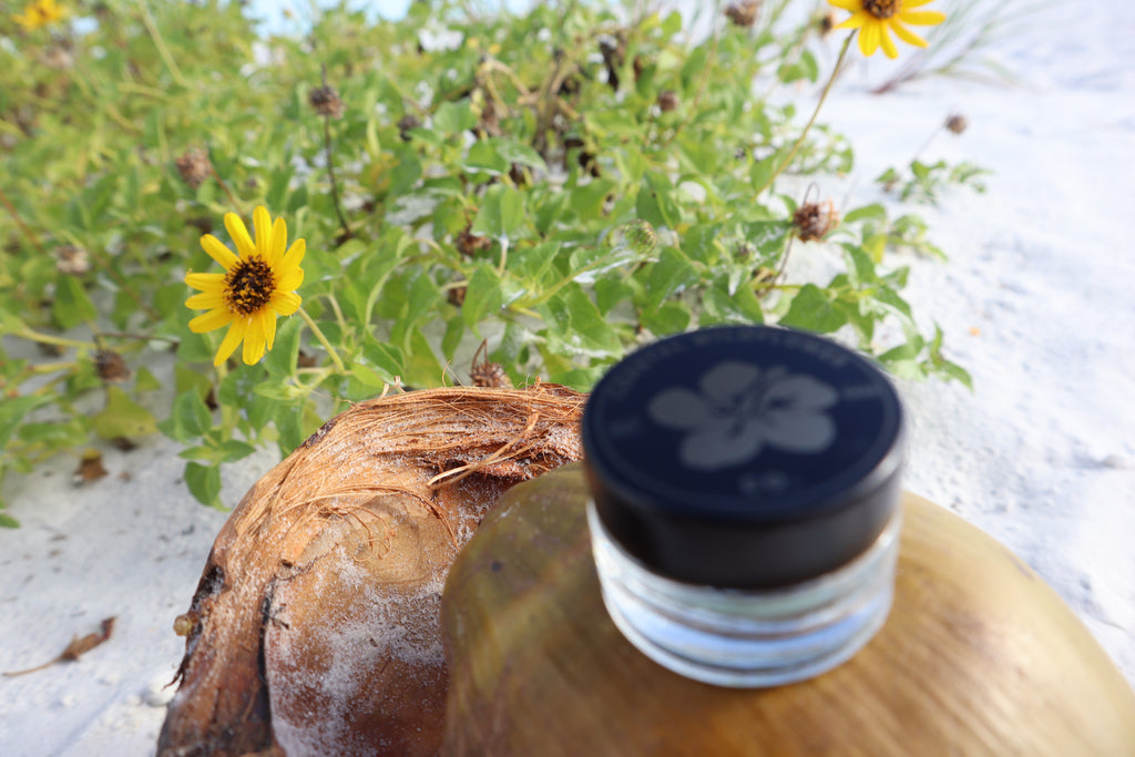 Sea Glass - Natural Makeup | Clean Beauty | Clean Skincare Non-Toxic Mineral Eyeshadow | Dye-Free, Cruelty-Free, Sustainable Makeup | Made in the USA (Florida)